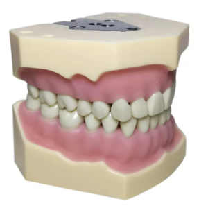 O3 - DENTS FRASACO